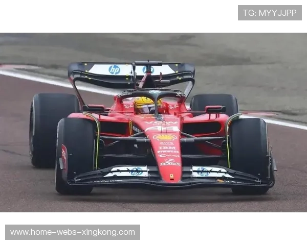 汉密尔顿与裁判争论